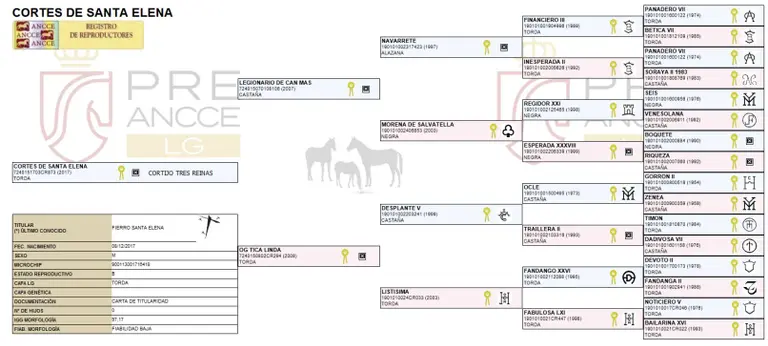 Pedigree