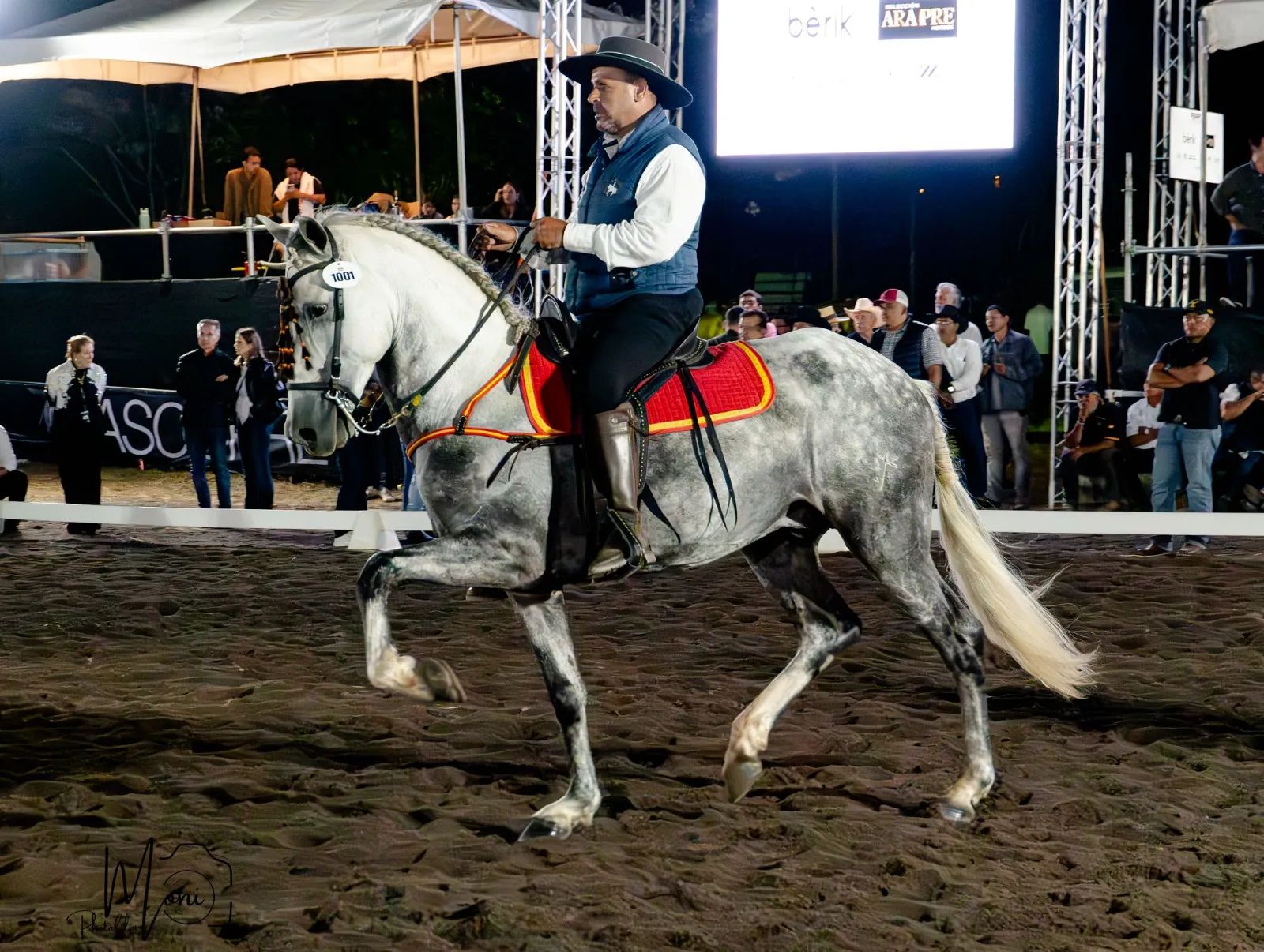 Caballo Duran de Santa Elena en venta