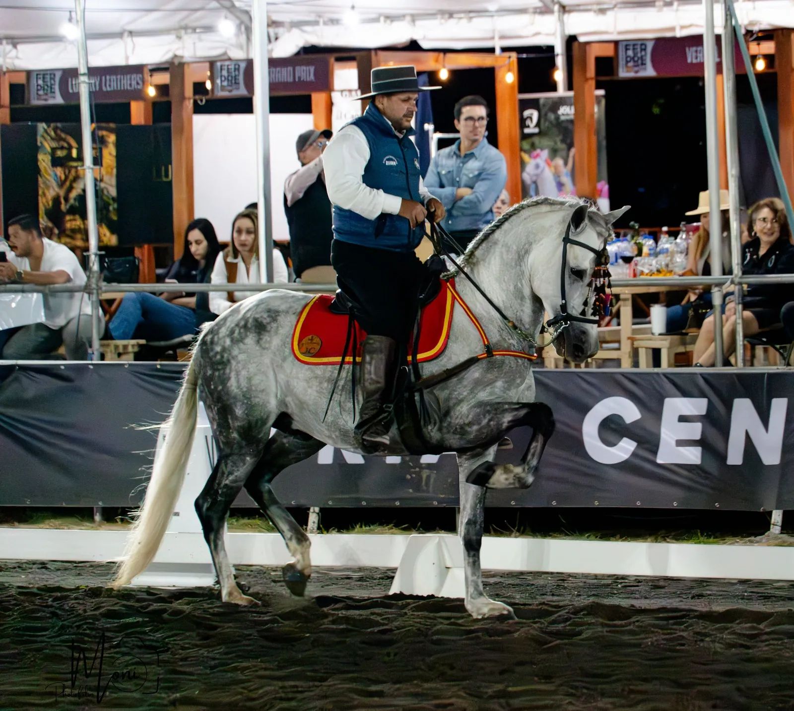 Caballo Duran de Santa Elena en venta