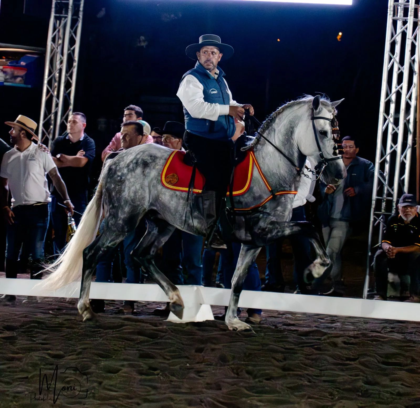 Caballo Duran de Santa Elena en venta
