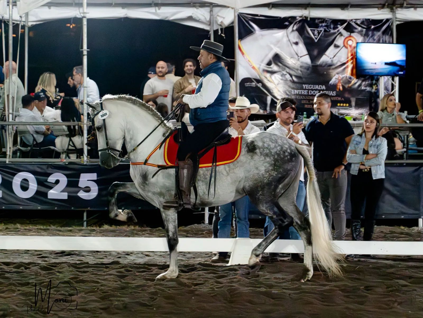 Caballo Duran de Santa Elena en venta