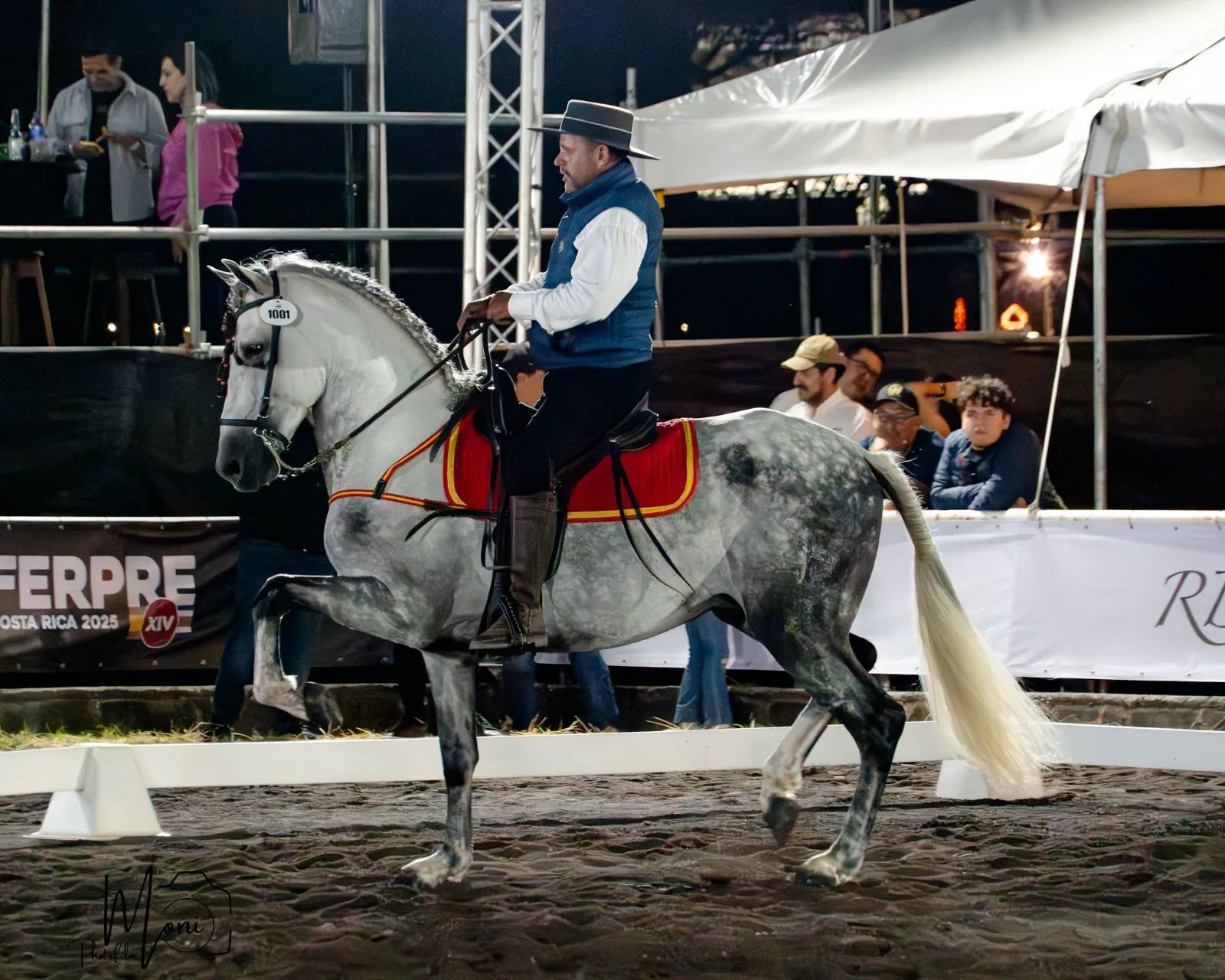 Caballo Duran de Santa Elena en venta